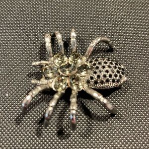 J H S Spider Brooch